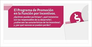 programa función por incentivos_opt