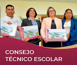 Fichas para la octava sesión ordinaria del Consejo Técnico Escolar 2018-2019.