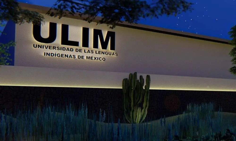 Decreta AMLO creación de la Universidad de las Lenguas Indígenas de México (ULIM)