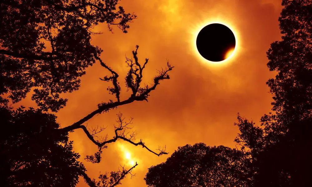 Secretaría de Salud advierte sobre riesgos durante el Eclipse de Sol. ¡Toma nota!