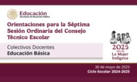 Orientaciones séptima sesión del CTE