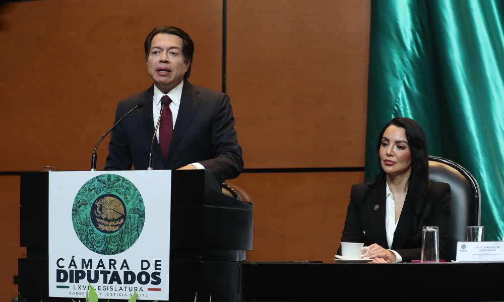 Mario Delgado en comparecencia diputados