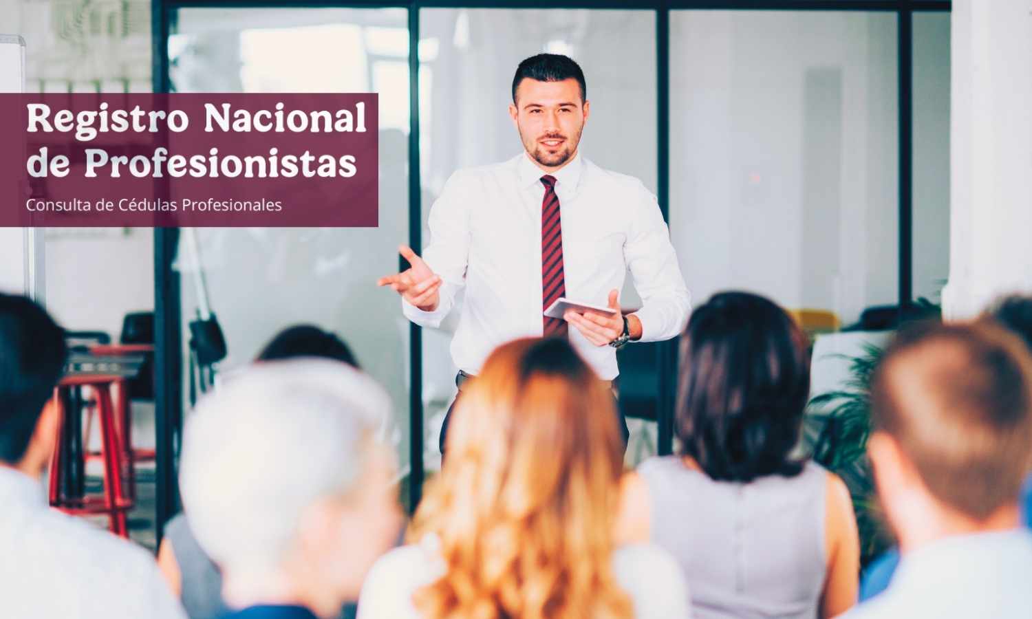 Constancia de Situación Profesional