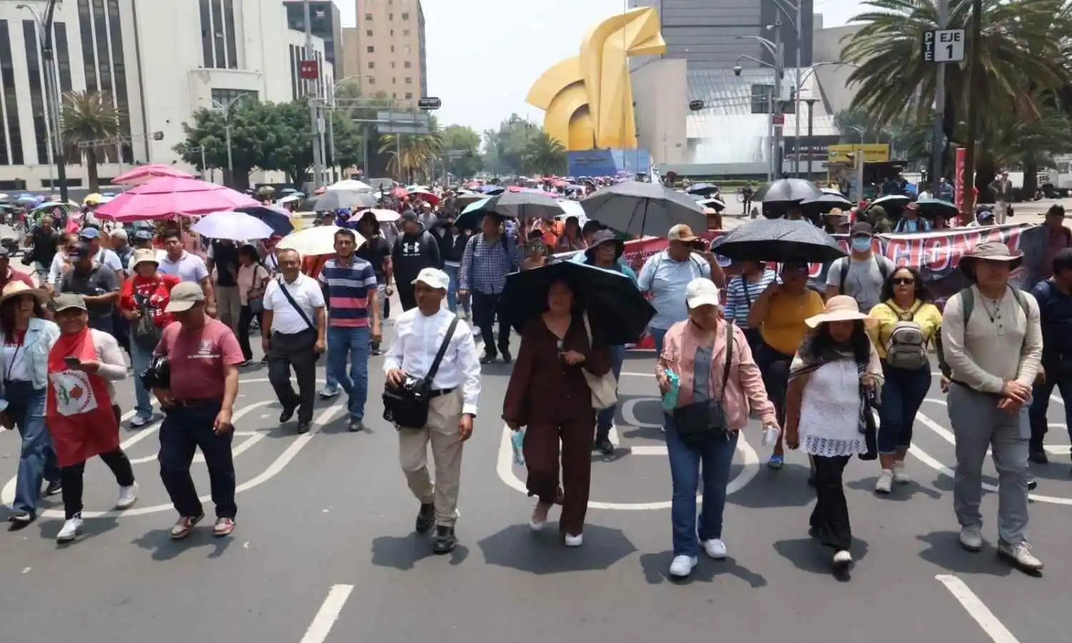 CNTE