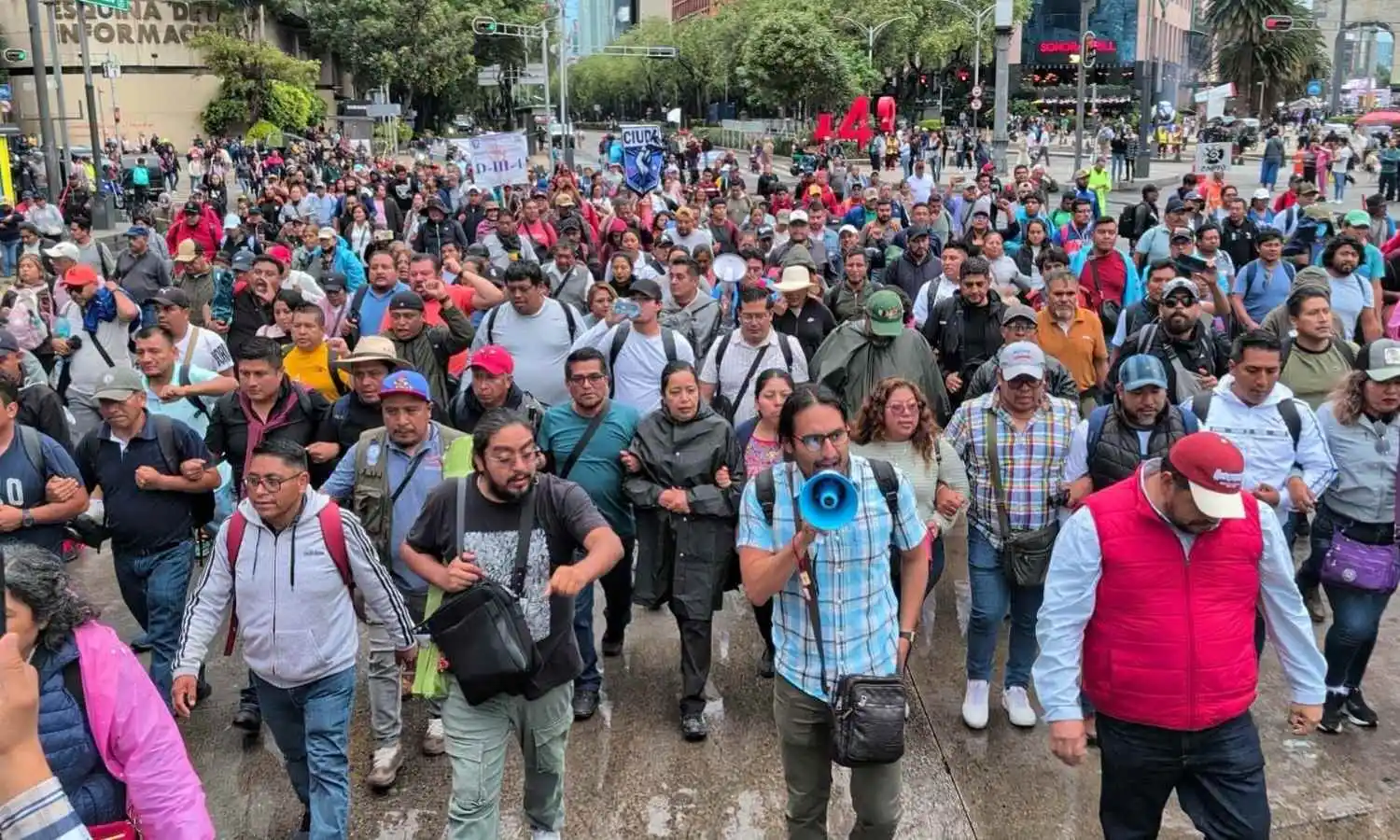 cnte repliegue