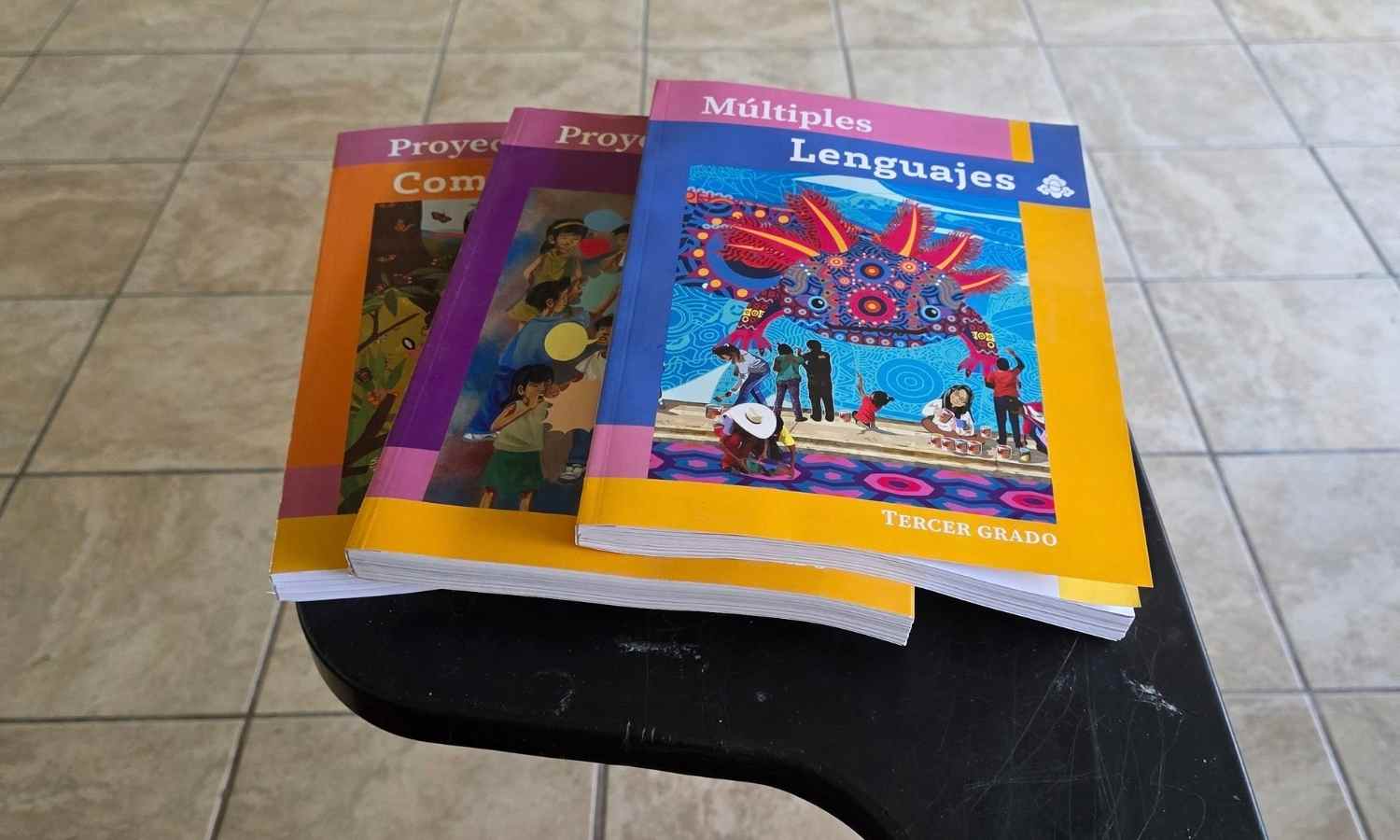 libros de la SEP